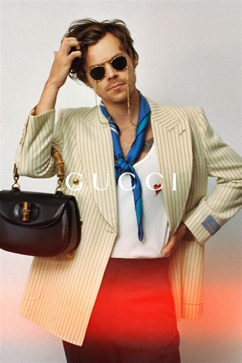 harry styles and gucci collab|harry styles gucci handbags.